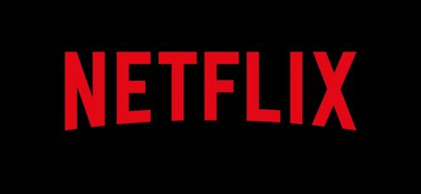 Netflix hints at new Hype House show