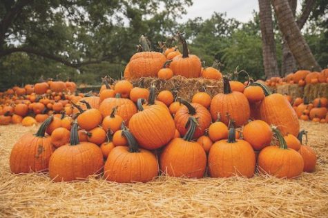 Halloween and fall events abound in Kentucky