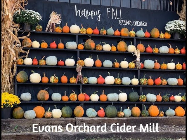 Evan's Orchard's pumpkin wall is a common place to take photos.